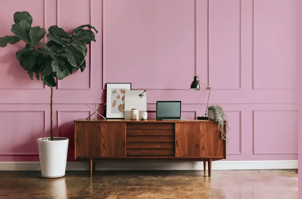 Benjamin Moore Countryside Pink modern interior