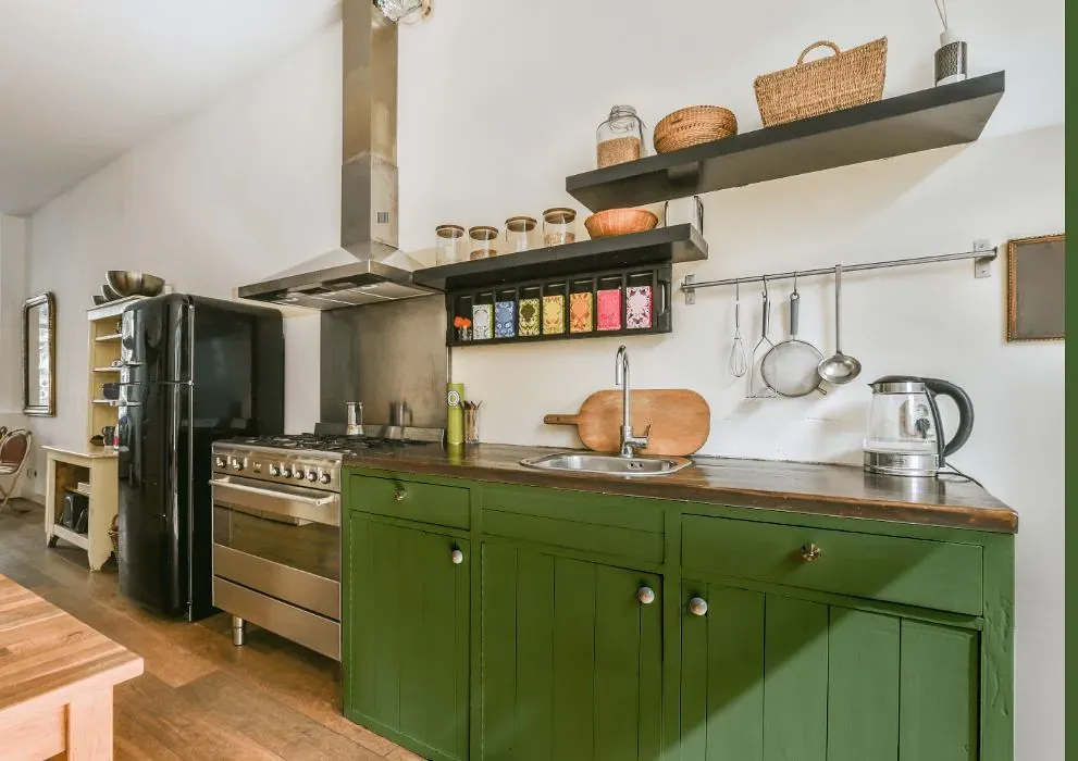 Benjamin Moore Courtyard Green kitchen cabinets