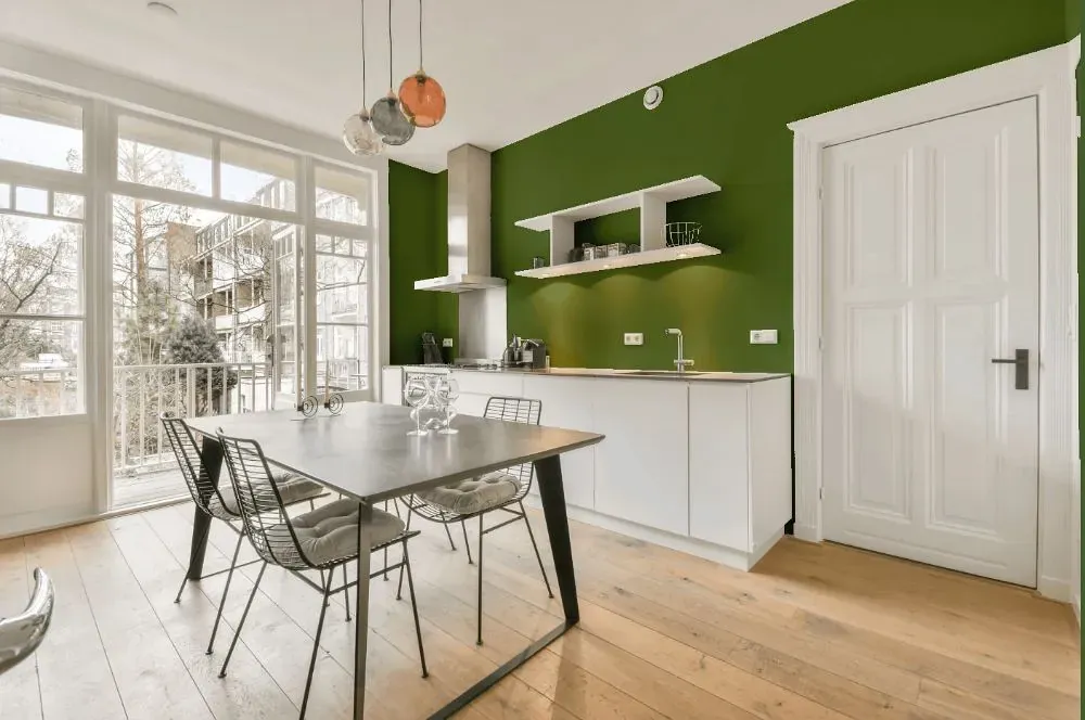 Benjamin Moore Courtyard Green kitchen review