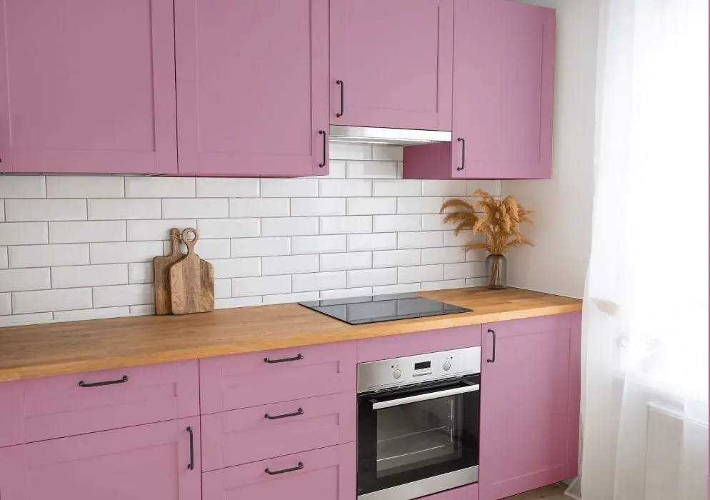 Benjamin Moore Cranberry Ice kitchen cabinets