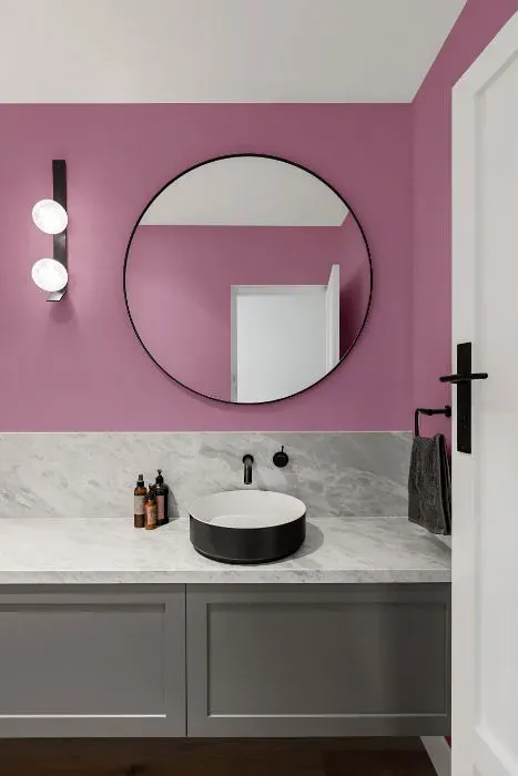 Benjamin Moore Cranberry Ice minimalist bathroom