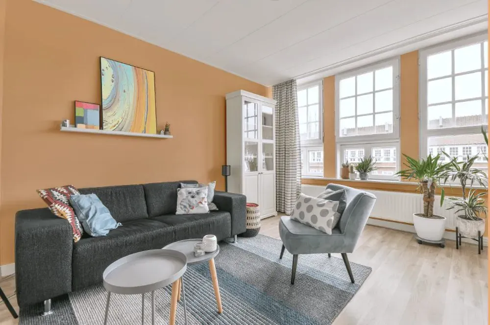 Benjamin Moore Creamy Orange living room walls