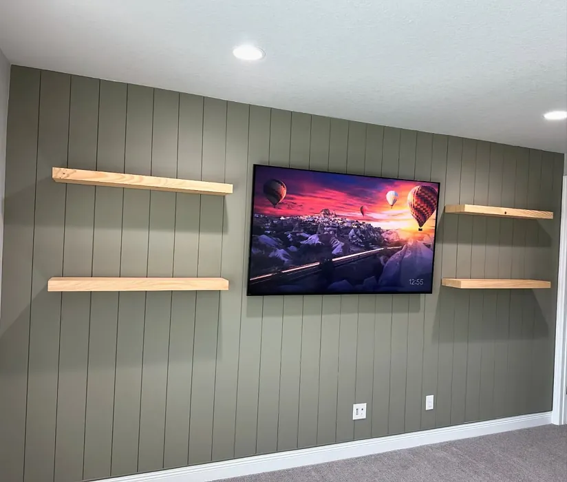 Benjamin Moore Creekside Green living room accent wall