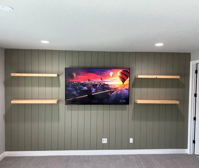 Benjamin Moore Creekside Green living room paint