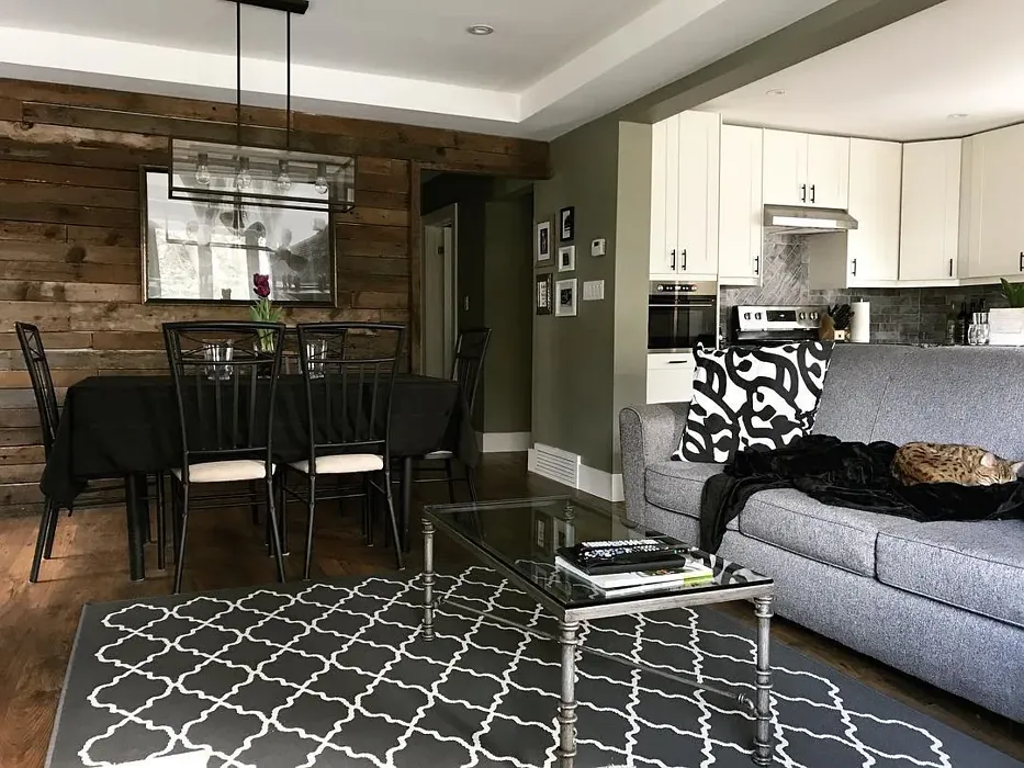 Benjamin Moore Creekside Green living room makeover