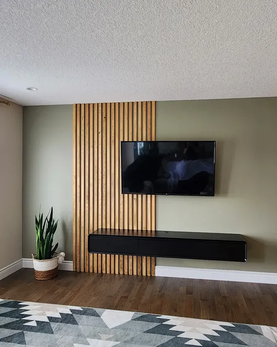 Benjamin Moore Creekside Green accent wall color review