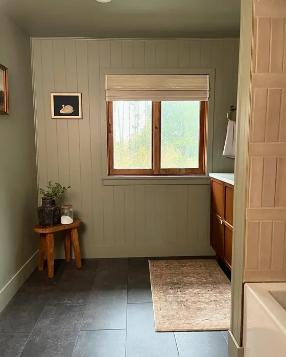 Benjamin Moore Creekside Green bathroom color