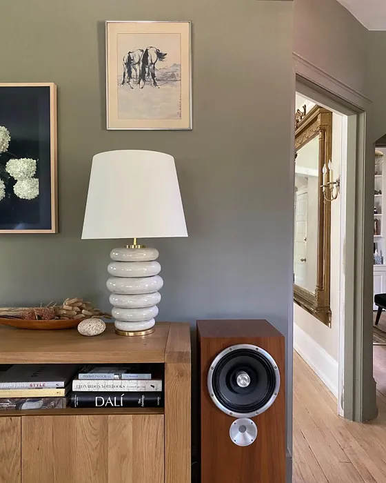 Creekside Green living room color