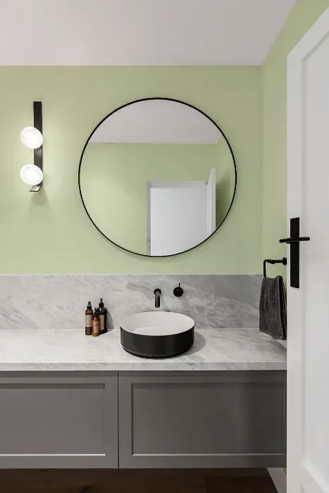 Benjamin Moore Crisp Green minimalist bathroom