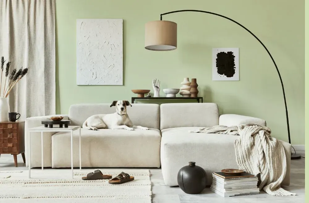 Benjamin Moore Crisp Green cozy living room