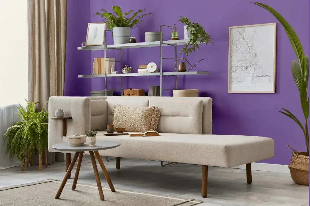 Benjamin Moore Crocus Petal Purple living room