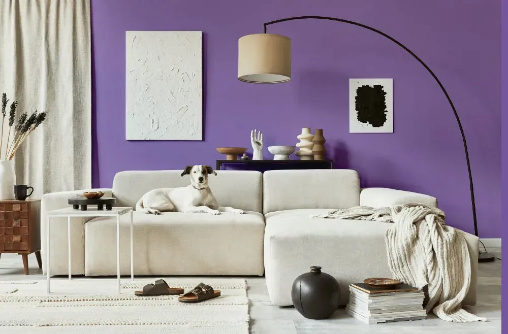 Benjamin Moore Crocus Petal Purple cozy living room