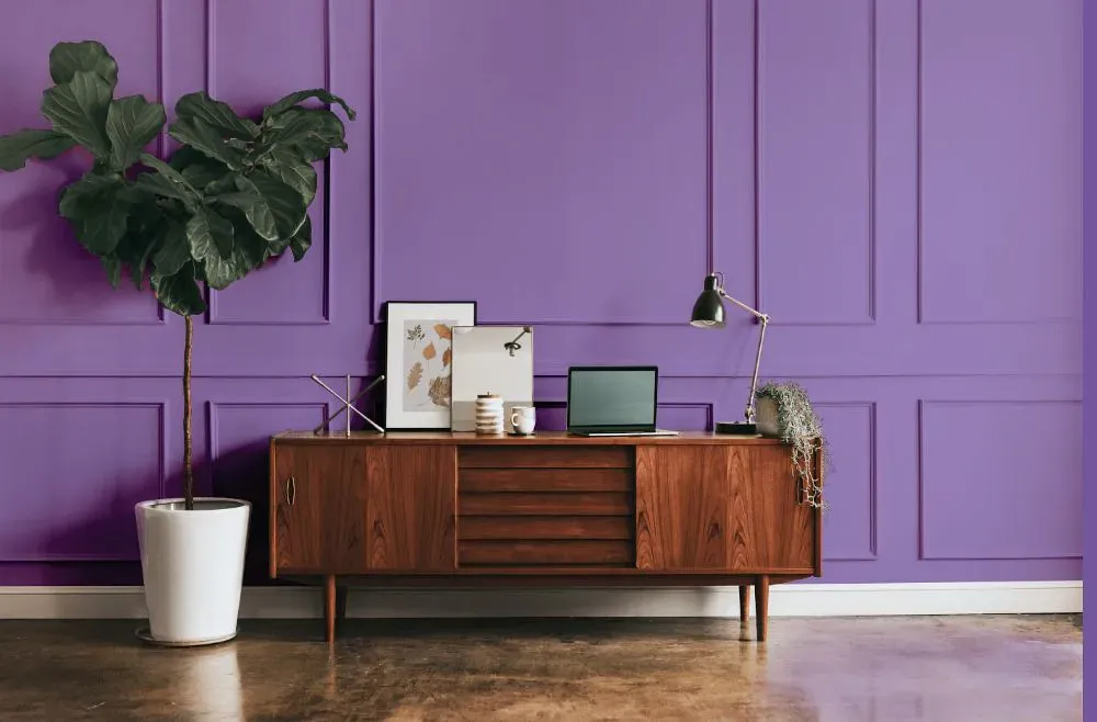 Benjamin Moore Crocus Petal Purple modern interior