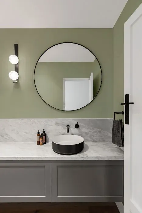 Benjamin Moore Croquet minimalist bathroom