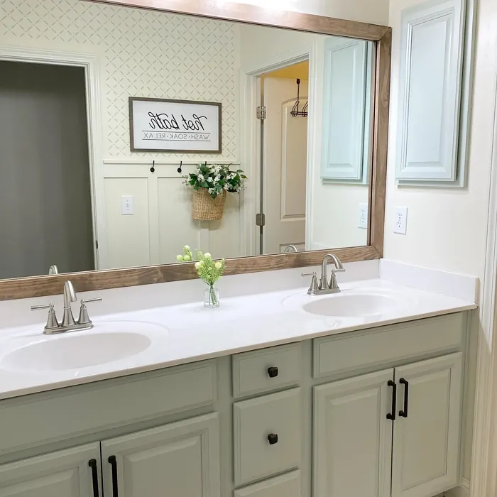 Benjamin Moore AF-485 bathroom vanity color