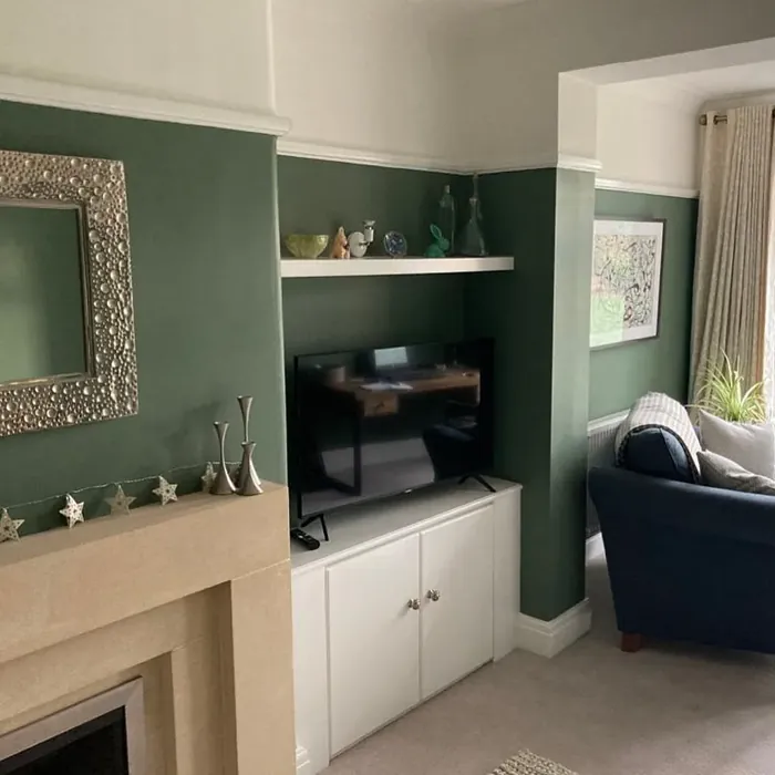 Benjamin Moore Cushing Green living room color review