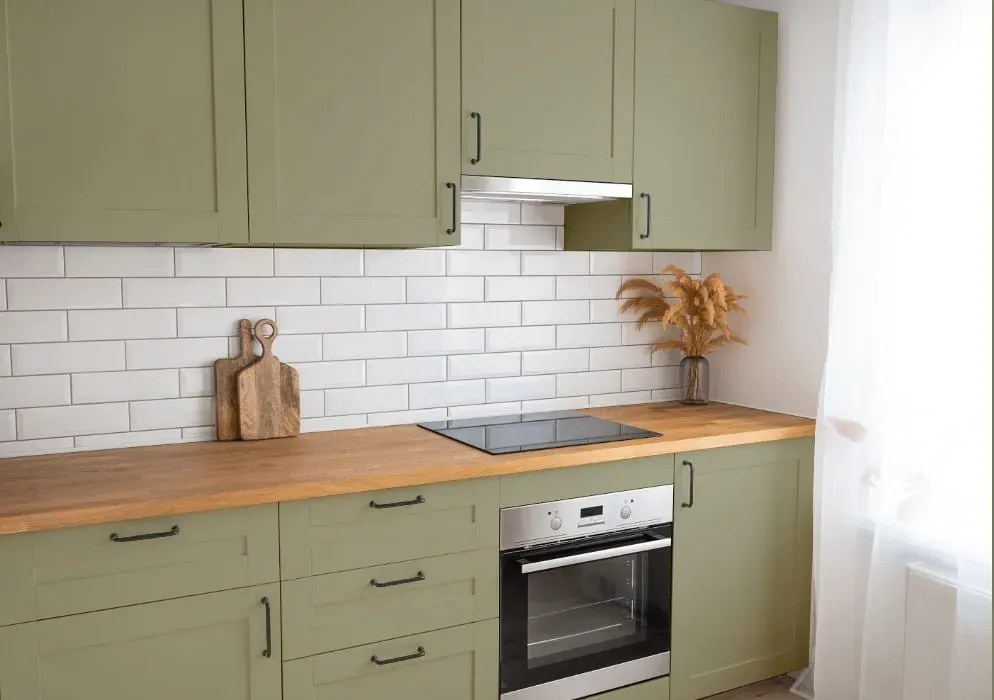 Benjamin Moore Cypress Green kitchen cabinets