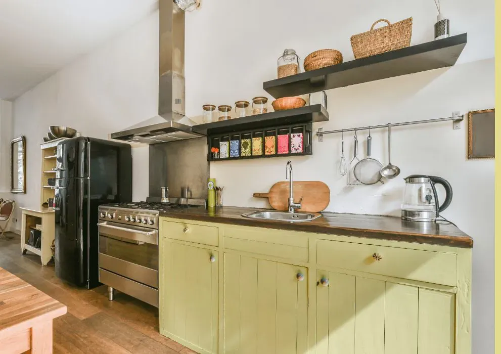 Benjamin Moore Cypress Grove kitchen cabinets