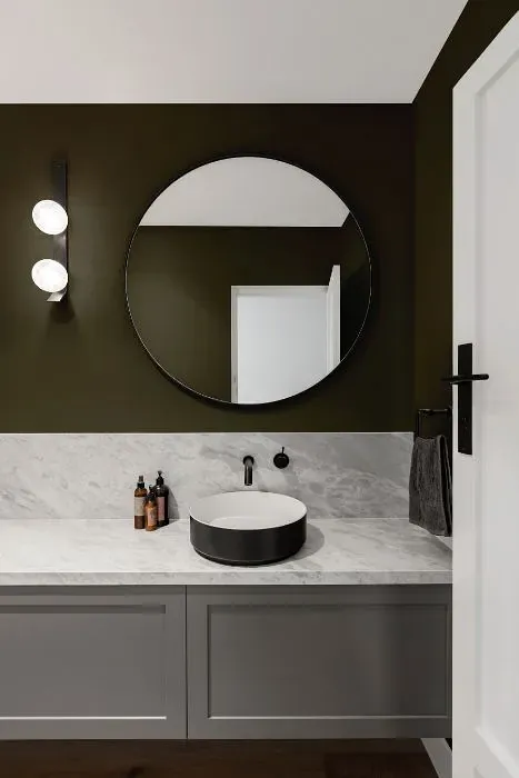 Benjamin Moore Dakota Woods Green minimalist bathroom