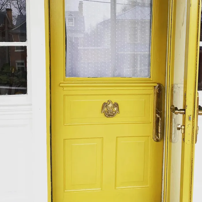 Benjamin Moore CW-405 front door 