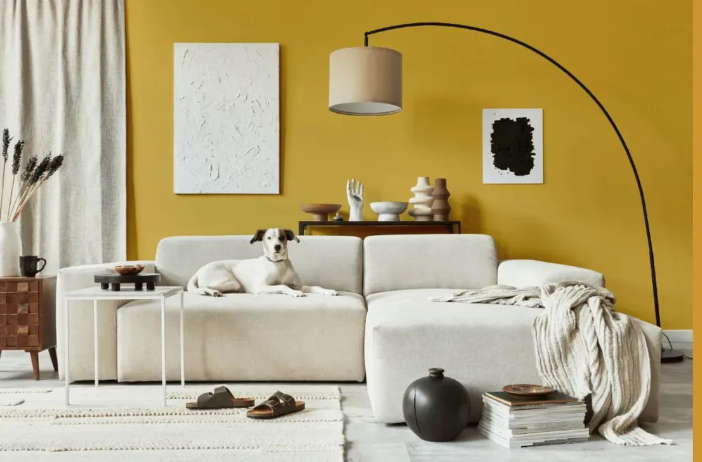 Benjamin Moore Damask Gold cozy living room