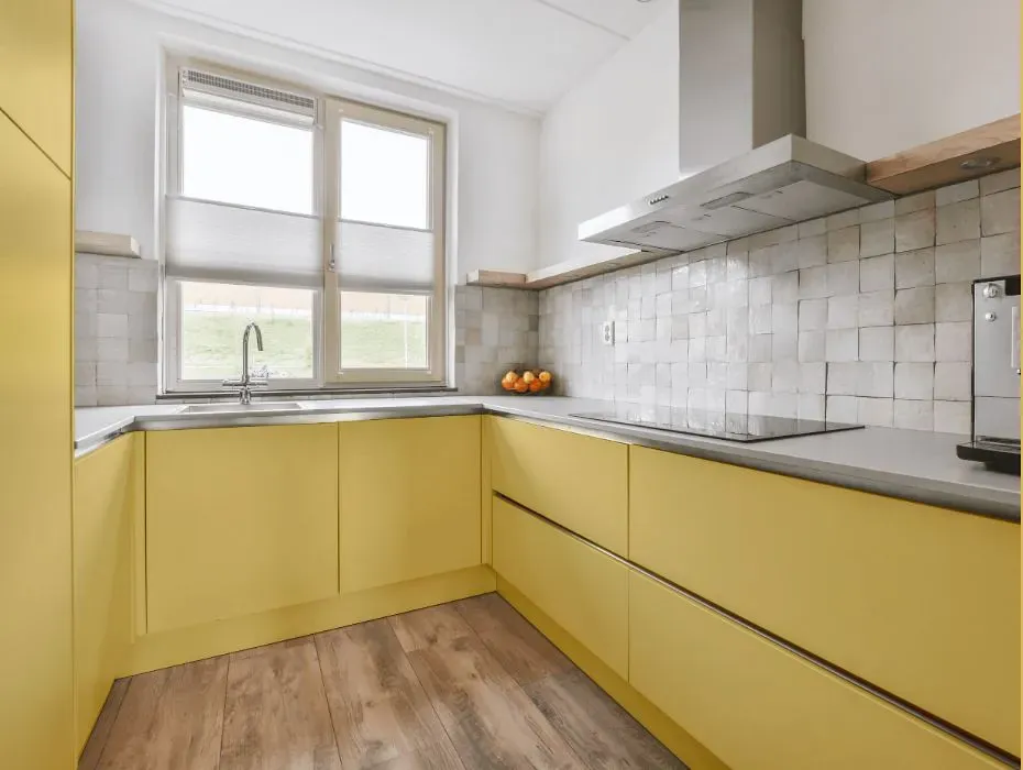 Benjamin Moore Damask Yellow small kitchen cabinets