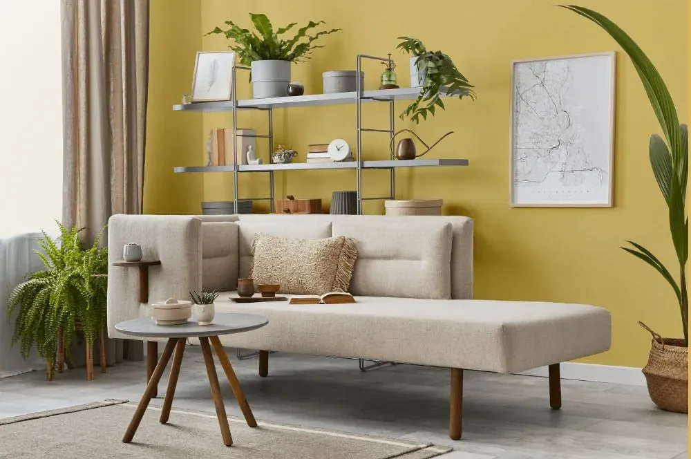 Benjamin Moore Damask Yellow living room