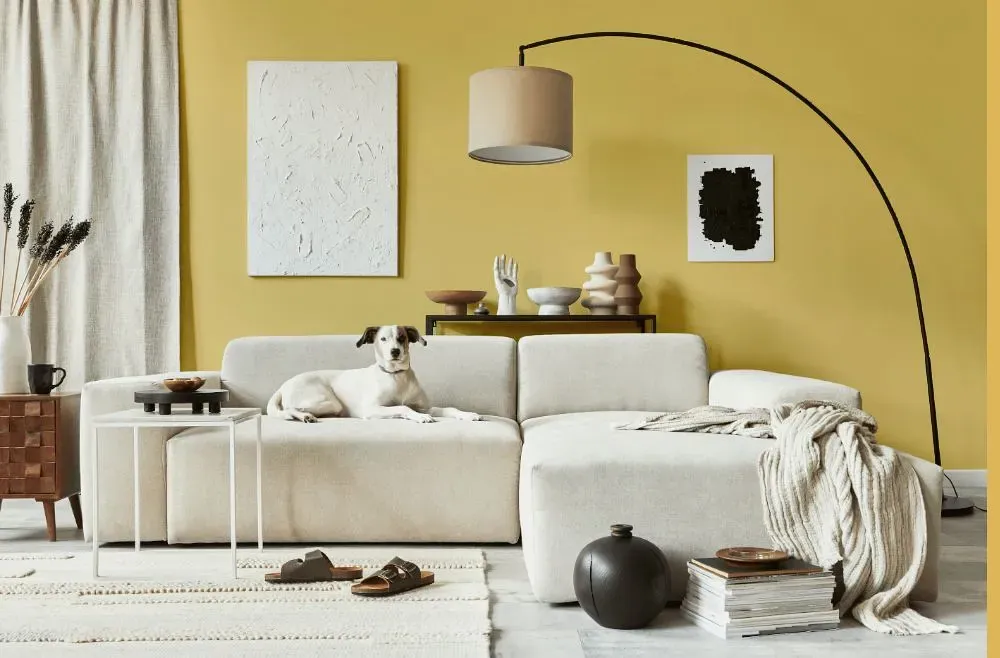 Benjamin Moore Damask Yellow cozy living room