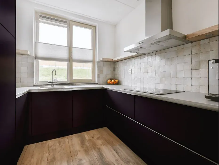 Benjamin Moore Dark Basalt small kitchen cabinets