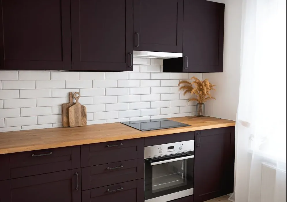 Benjamin Moore Dark Basalt kitchen cabinets