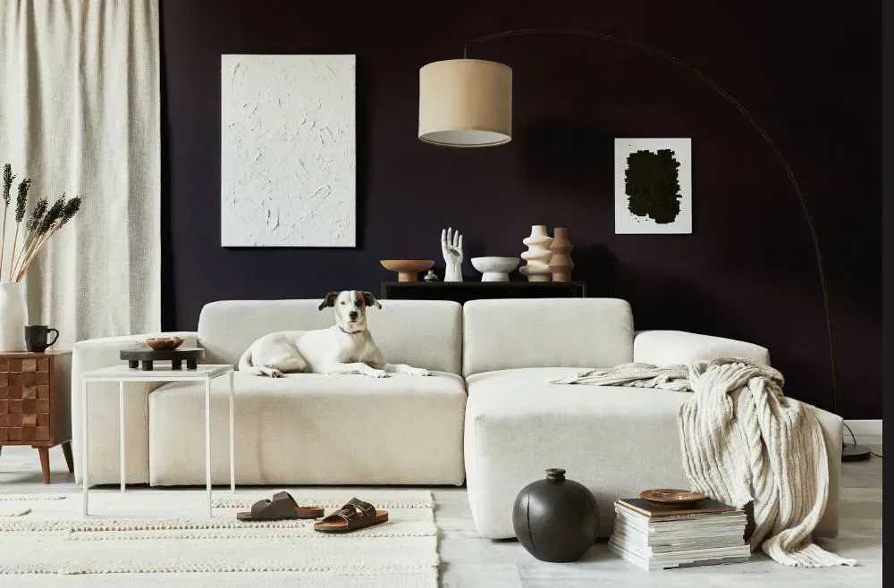 Benjamin Moore Dark Basalt cozy living room