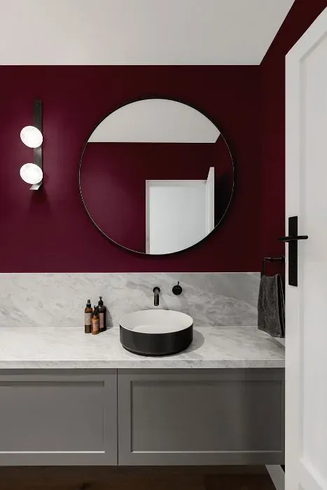 Benjamin Moore Dark Burgundy minimalist bathroom