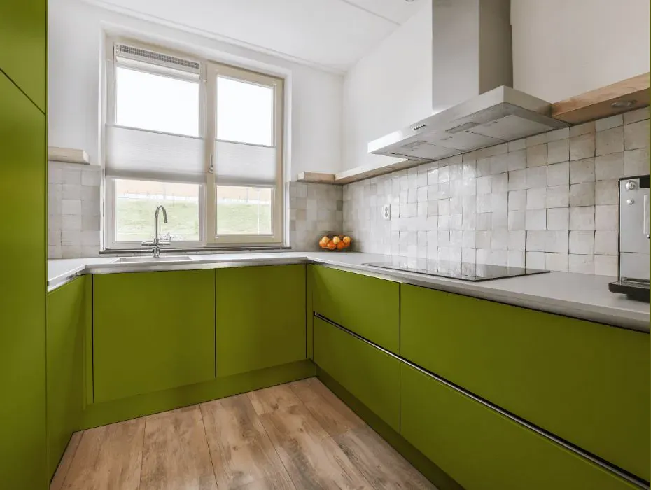Benjamin Moore Dark Celery small kitchen cabinets