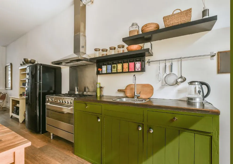 Benjamin Moore Dark Celery kitchen cabinets