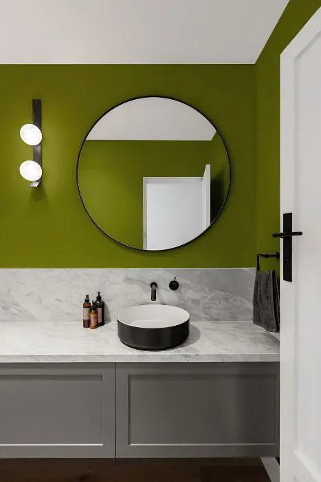 Benjamin Moore Dark Celery minimalist bathroom