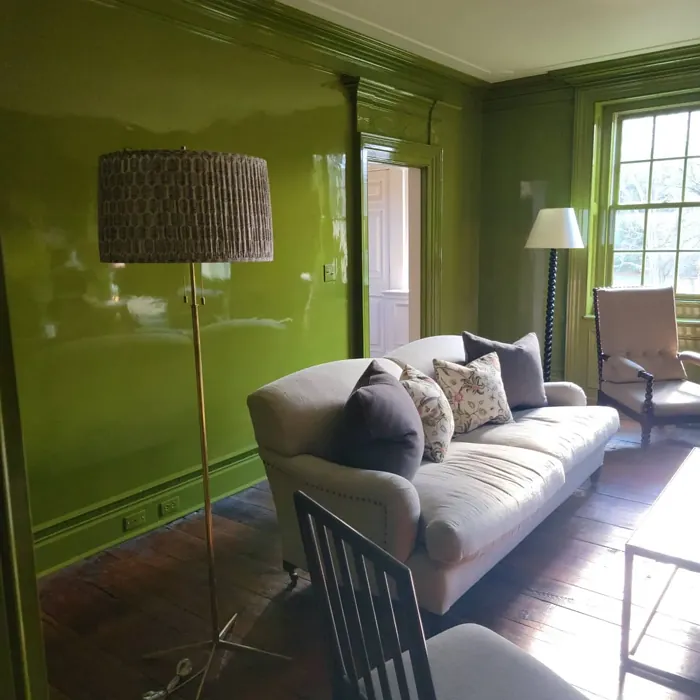 Benjamin Moore Dark Celery living room paint