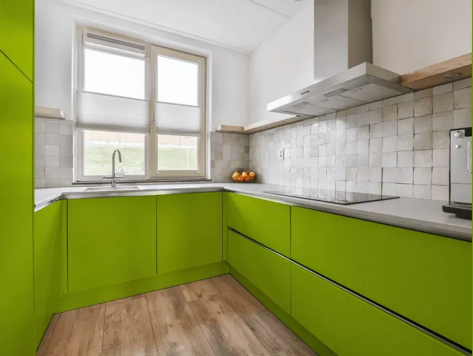 Benjamin Moore Dark Lime small kitchen cabinets