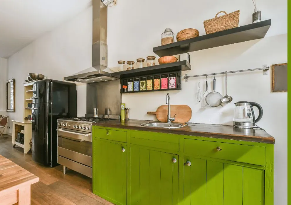 Benjamin Moore Dark Lime kitchen cabinets