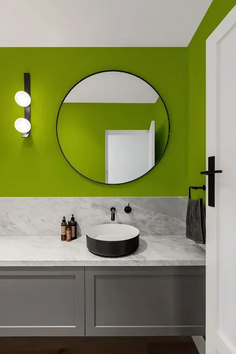 Benjamin Moore Dark Lime minimalist bathroom