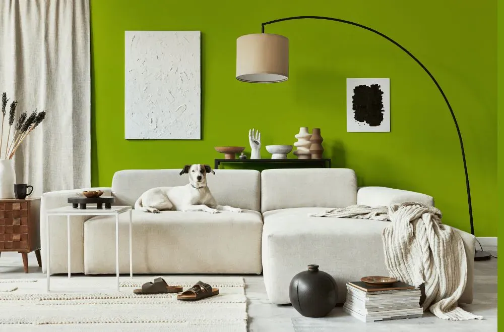 Benjamin Moore Dark Lime cozy living room
