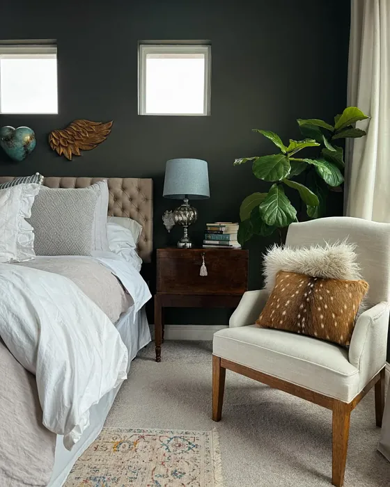 Benjamin Moore Dark Olive bedroom color