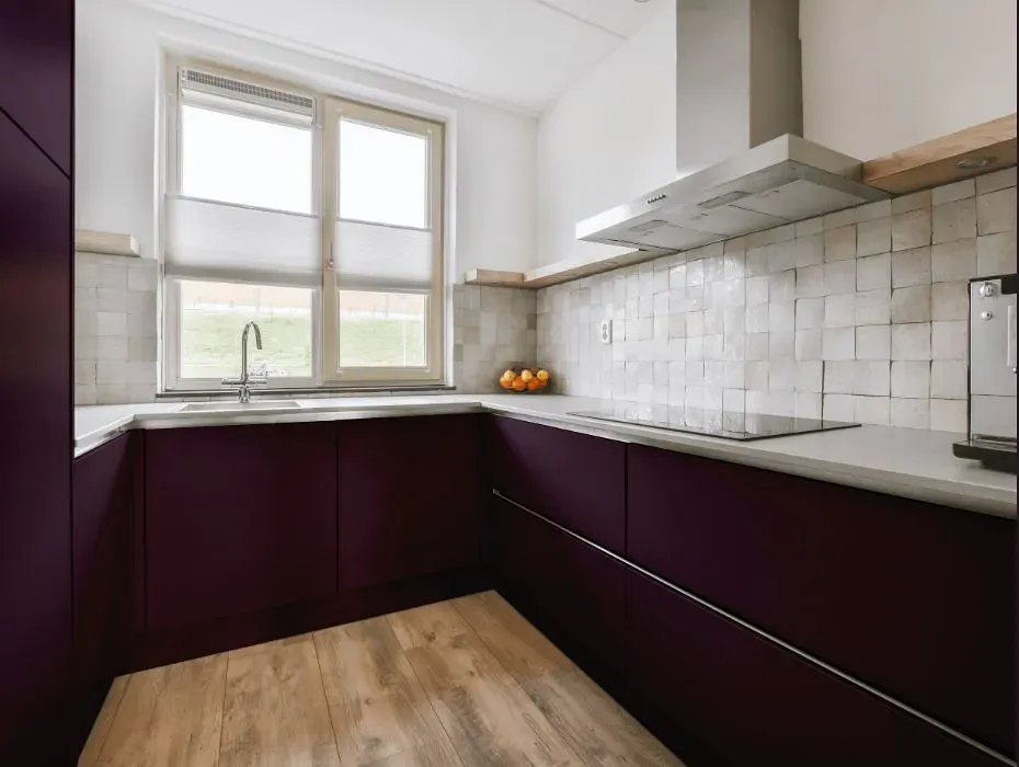 Benjamin Moore Dark Purple small kitchen cabinets