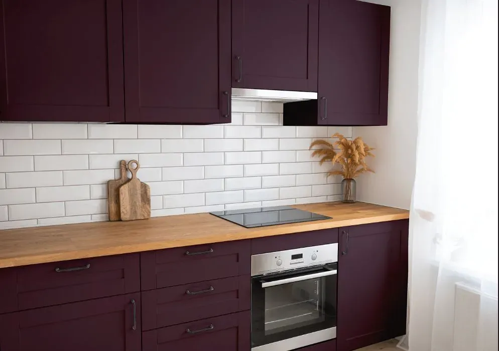 Benjamin Moore Dark Purple kitchen cabinets