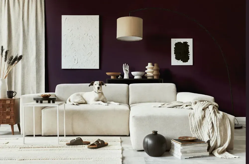 Benjamin Moore Dark Purple cozy living room
