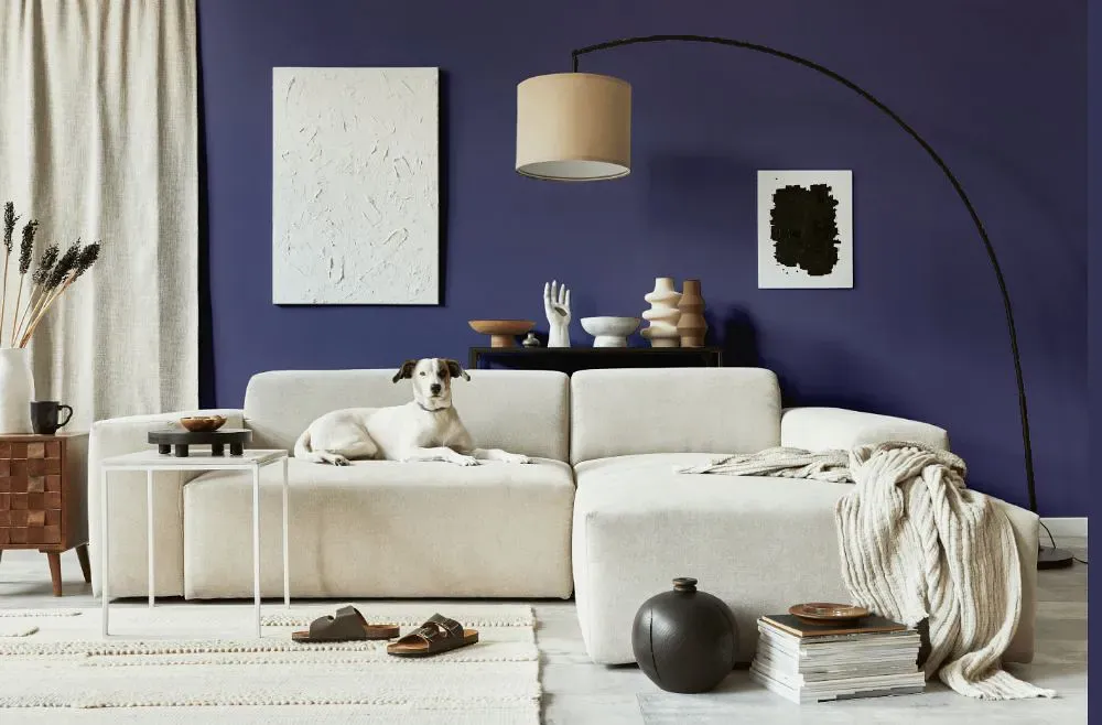 Benjamin Moore Darkest Grape cozy living room