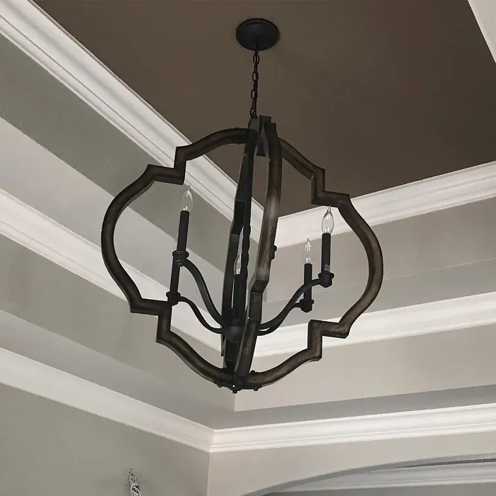 Benjamin Moore Davenport Tan ceiling color