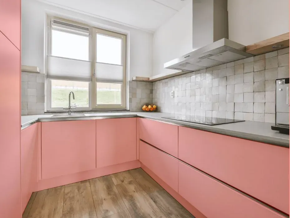 Benjamin Moore Dawn Pink small kitchen cabinets