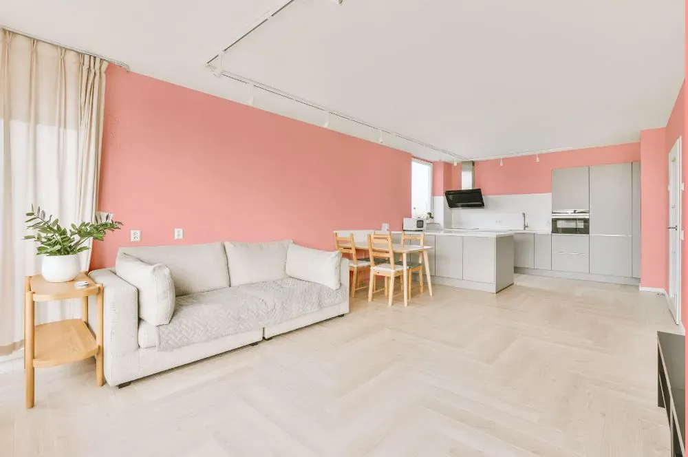 Benjamin Moore Dawn Pink living room interior