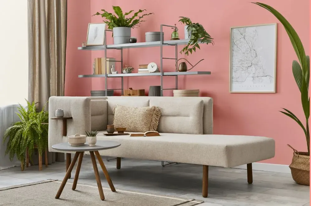 Benjamin Moore Dawn Pink living room