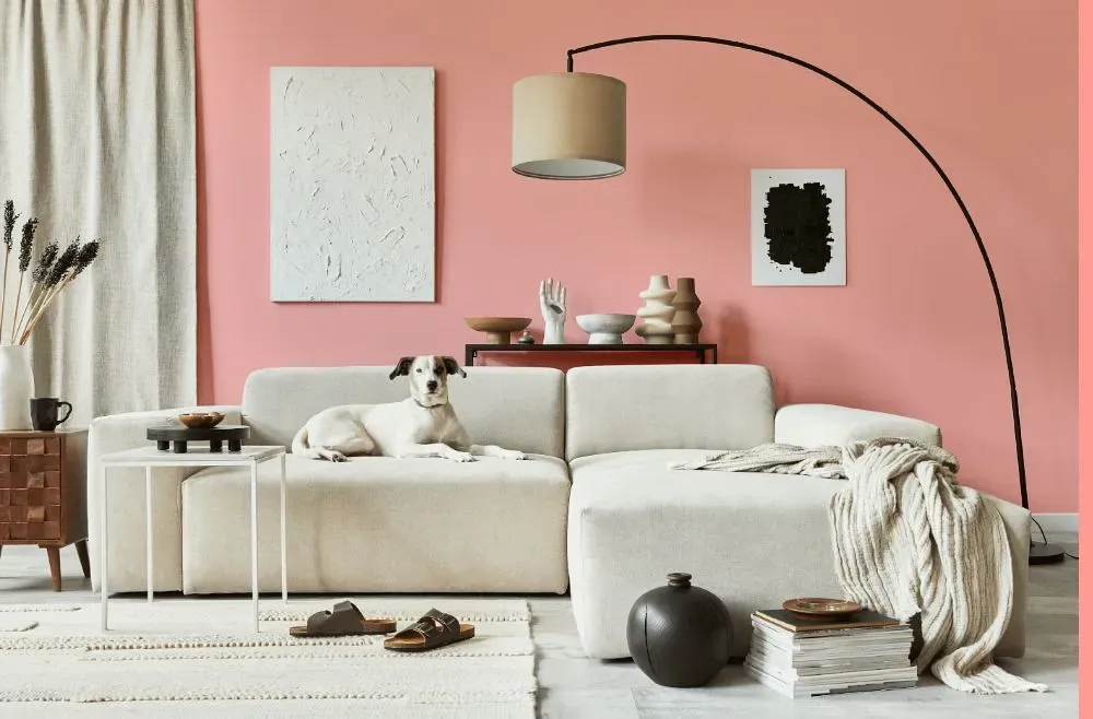 Benjamin Moore Dawn Pink cozy living room